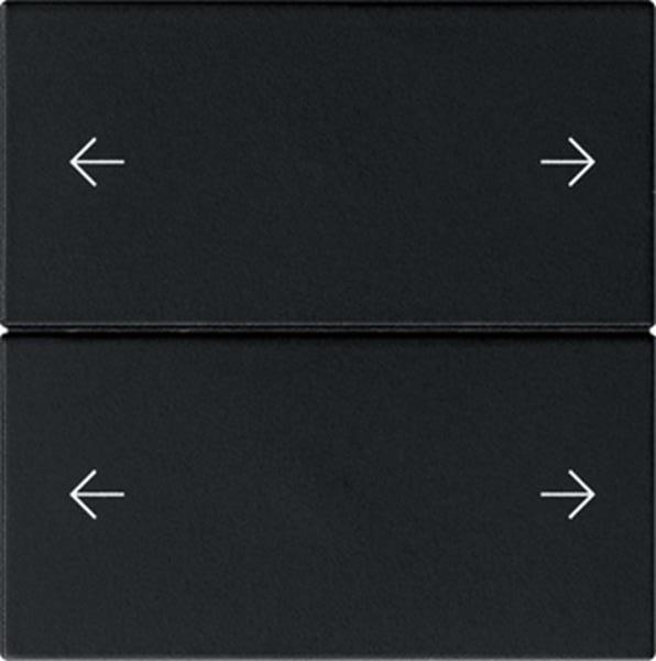 Gira Wippe 2f Pfeile System 55 Schwarz m