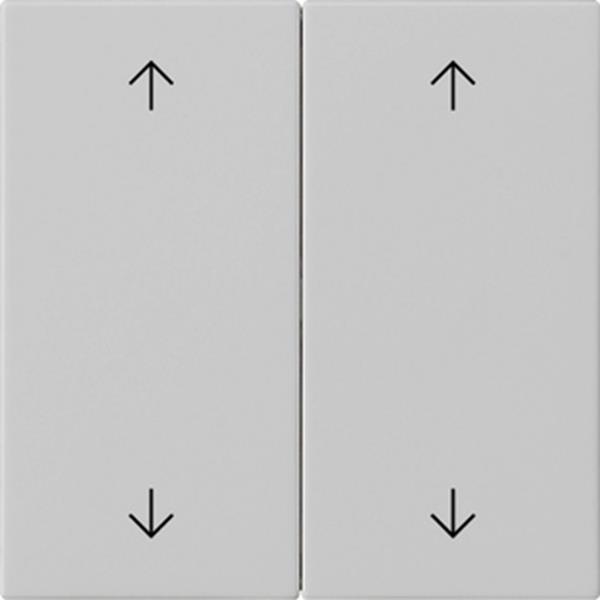 Gira Wippe 2f Pfeile System 55 Grau m