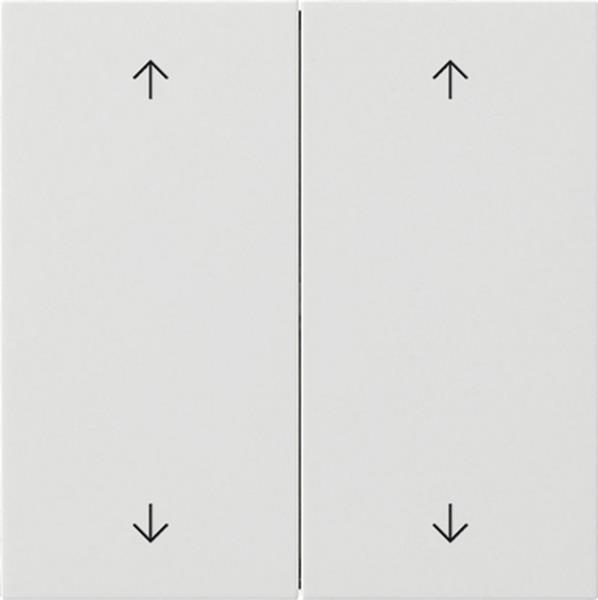 Gira Wippe 2f Pfeile Flächenschalter Reinweiß