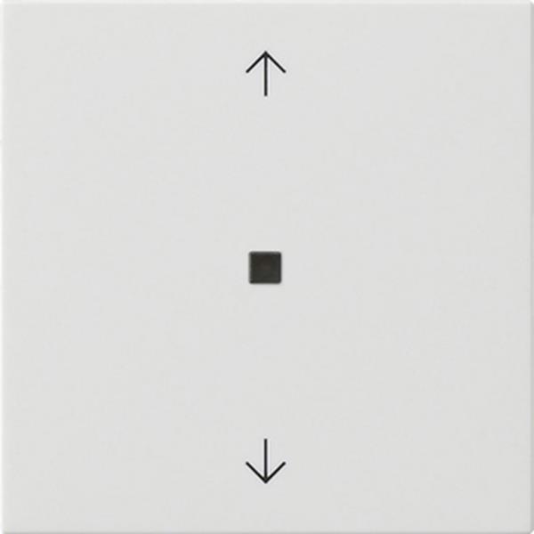 Gira Wippe 1f Pfeile Kontrollf. System 55 Reinweiß