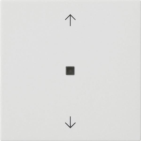 Gira Wippe 1f Pfeile Kontrollf. System 55 Reinweiß m