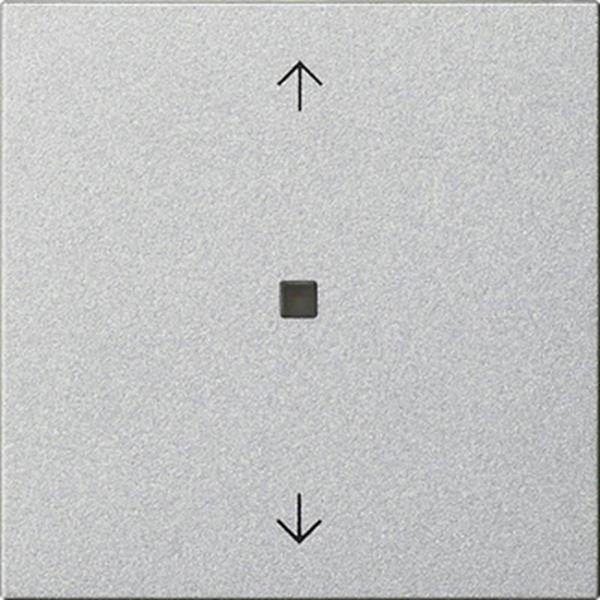 Gira Wippe 1f Pfeile Kontrollf. System 55 F Alu