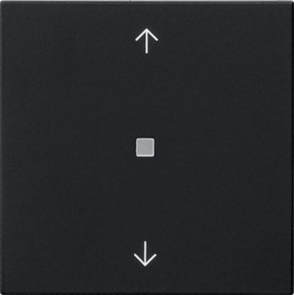 Gira Wippe 1f Pfeile Kontrollf. System 55 Schwarz m