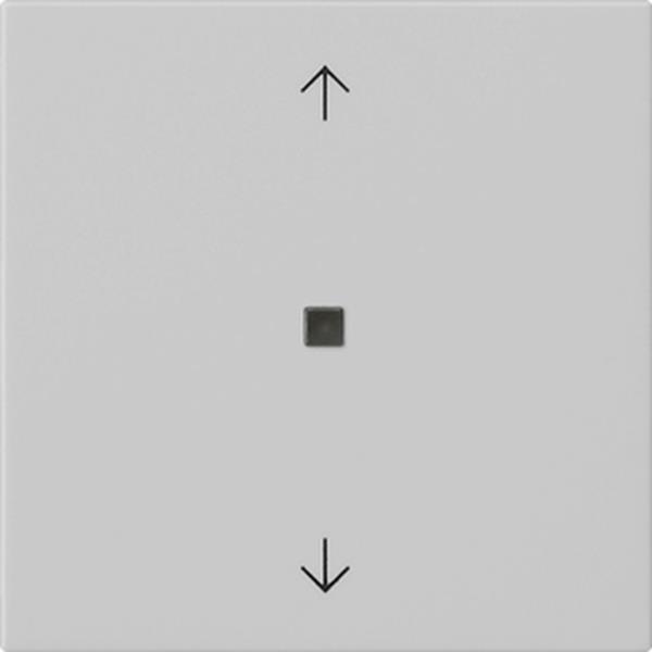 Gira Wippe 1f Pfeile Kontrollf. System 55 Grau m