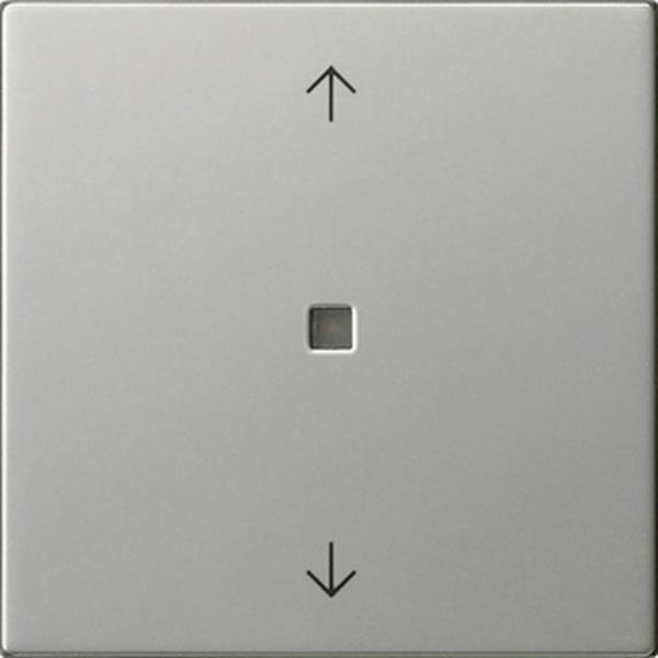 Gira Wippe 1f Pfeile Kontrollf. System 55 Edelstahl