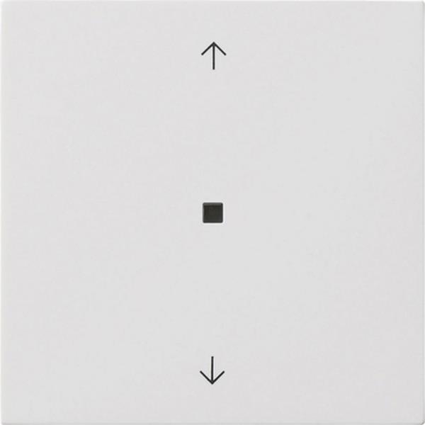 Gira Wippe 1f Pfeile Kontrollf. Flächenschalter Reinweiß