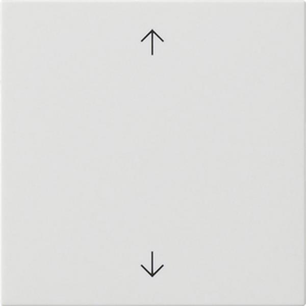 Gira Wippe 1f Pfeile System 55 Reinweiß