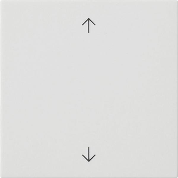 Gira Wippe 1f Pfeile System 55 Reinweiß m