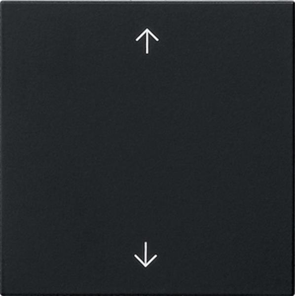 Gira Wippe 1f Pfeile System 55 Schwarz m