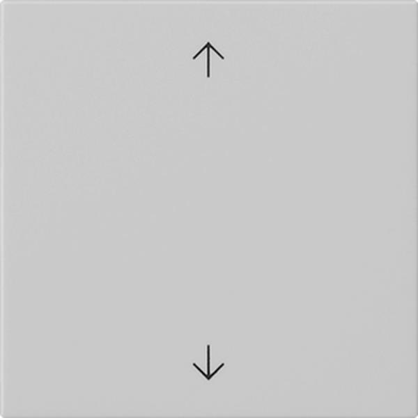 Gira Wippe 1f Pfeile System 55 Grau m