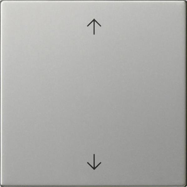 Gira Wippe 1f Pfeile System 55 Edelstahl