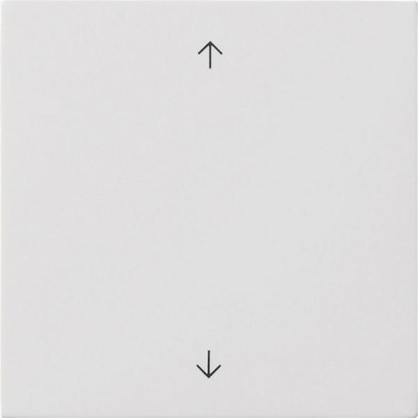 Gira Wippe 1f Pfeile Flächenschalter Reinweiß