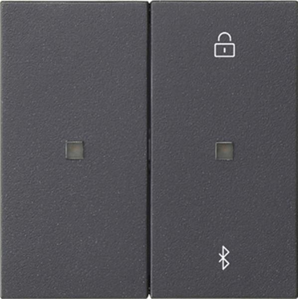Gira S3000 Jal.-/Schaltuhr BT System 55 Anthrazit