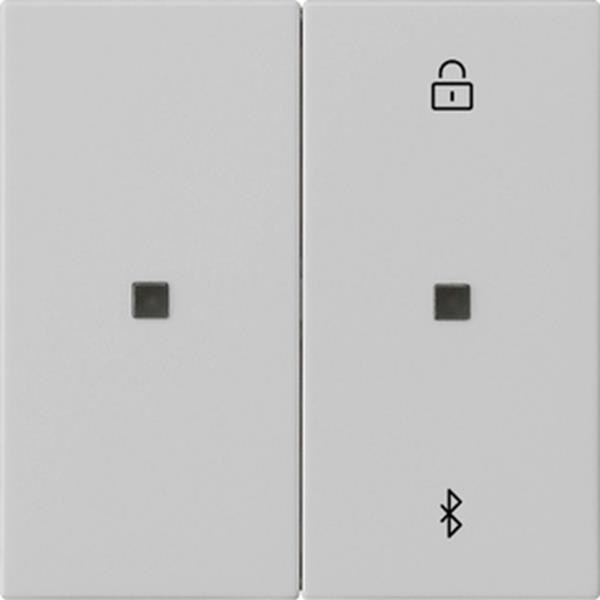 Gira S3000 Jal.-/Schaltuhr BT System 55 Grau m