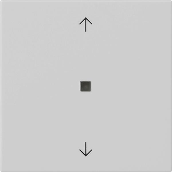 Gira S3000 Bedienaufs. BT Pfeile System 55 Grau m