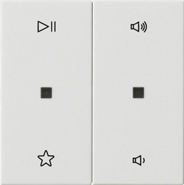 Gira Wippe 2f Audiostrg System 55 Reinweiß Gira Wippe 2f Audiostrg System 55 Reinweiß