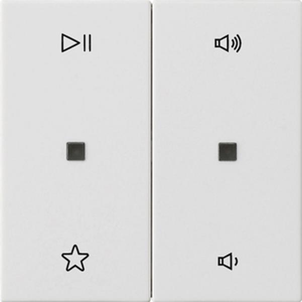 Gira Wippe 2f Audiostrg System 55 Reinweiß m Gira Wippe 2f Audiostrg System 55 Reinweiß m