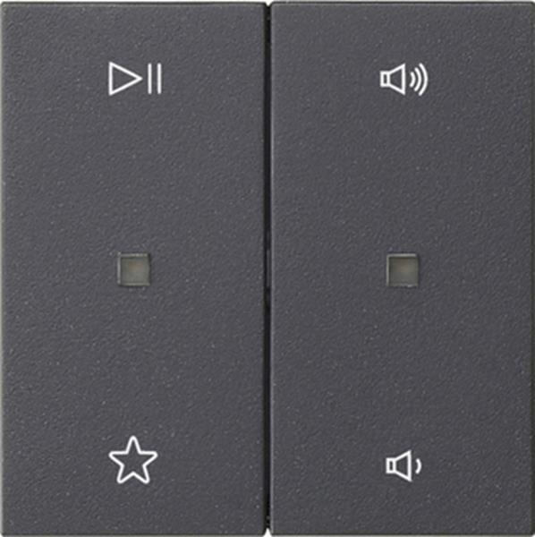 Gira Wippe 2f Audiostrg System 55 Anthrazit Gira Wippe 2f Audiostrg System 55 Anthrazit