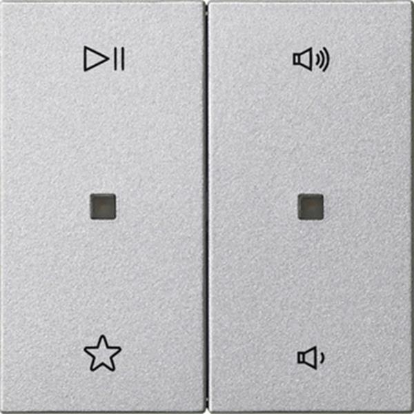 Gira Wippe 2f Audiostrg System 55 F Alu Gira Wippe 2f Audiostrg System 55 F Alu