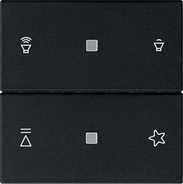 Gira Wippe 2f Audiostrg System 55 Schwarz m Gira Wippe 2f Audiostrg System 55 Schwarz m