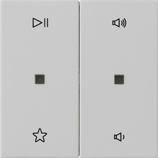 Gira Wippe 2f Audiostrg System 55 Grau m Gira Wippe 2f Audiostrg System 55 Grau m