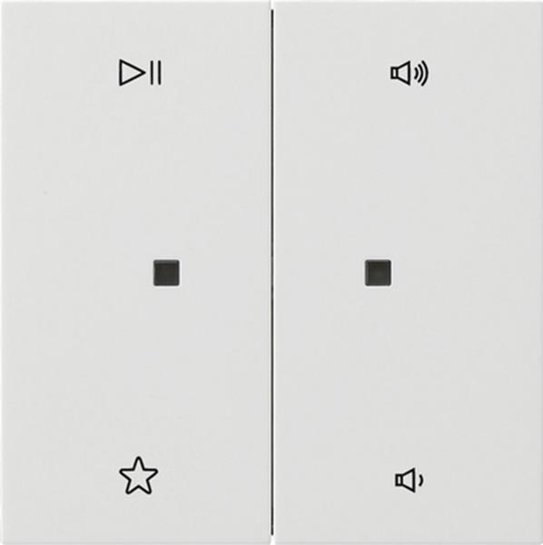 Gira Wippe 2f Audiostrg Flächenschalter Reinweiß Gira Wippe 2f Audiostrg Flächenschalter Reinweiß
