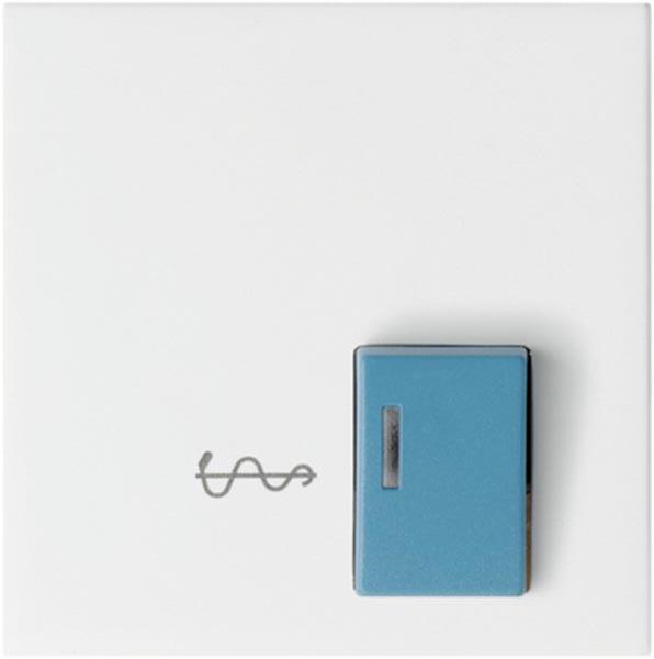 Gira Abdeckung Ackermann 73022 A2 Arzt System 55 Reinweiß