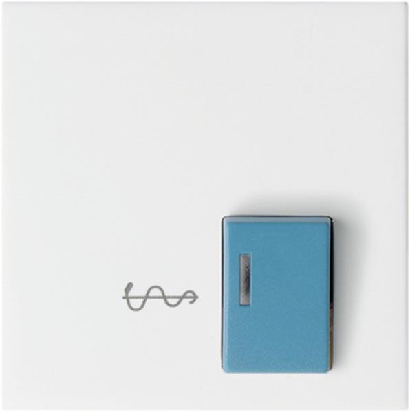 Gira Abdeckung Ackermann 73022 A2 Arzt System 55 Reinweiß m