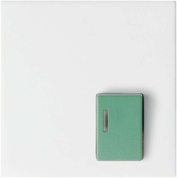 Gira Abdeckung Ackermann 73642 C System 55 Reinweiß m