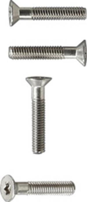 Gira Schrauben Innensechsrund 30 Stck. Zubehör