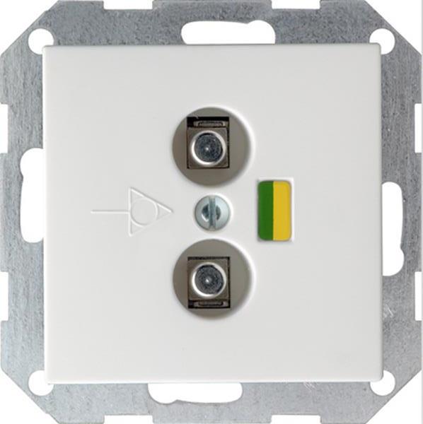Gira Potenzialausgleich-Dose 2f System 55 Reinweiß m