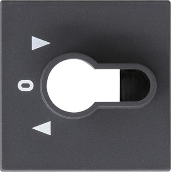 Gira Abdeckung Schlüsselschalter/-taster System 55 Anthrazit