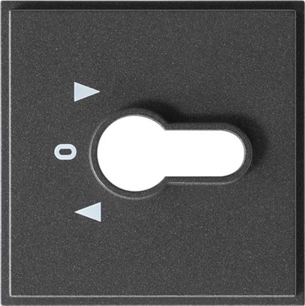 Gira Abdeckung Schlüsselschalter/-taster Gira TX_44 (WG UP) Anthrazit