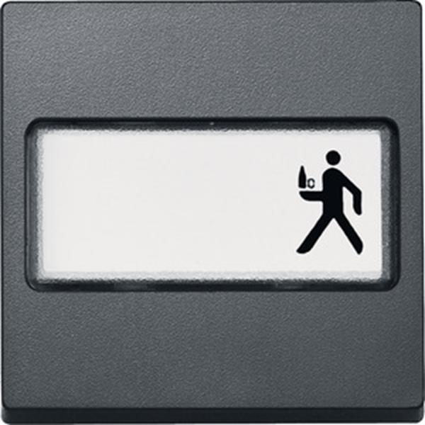 Merten Wippe mit Schriftfeld, anthrazit, System M
