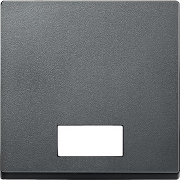 Merten Wippe mit rechteckigem Symbolfenster, anthrazit, System M