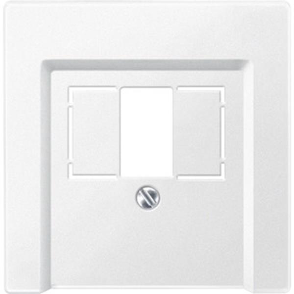 Merten Zentralplatte für TAE/Audio/USB, polarweiß, System M