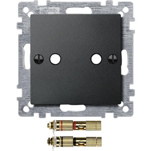 Merten Zentralplatte mit High-End Lautsprecher-Steckverbinder, anthrazit, System