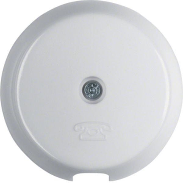 Berker Zentralstück für Tel-Steckdose Glas. Pw