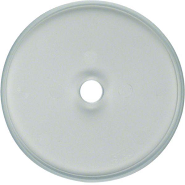 Berker Glasplatte Schalter/Tas. Serie Glas klar