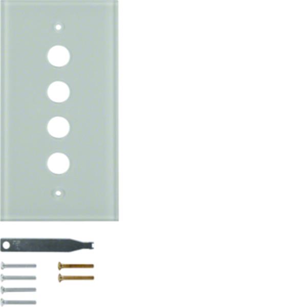 Berker Glasabdeckplatte 4fach TS polarweiß gl.