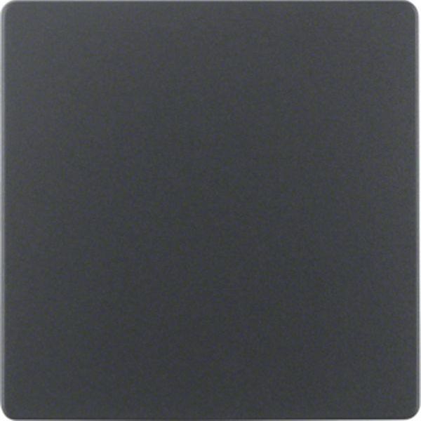 Berker Zentralplatte f Sens.eins ZPS B.3/7 anth