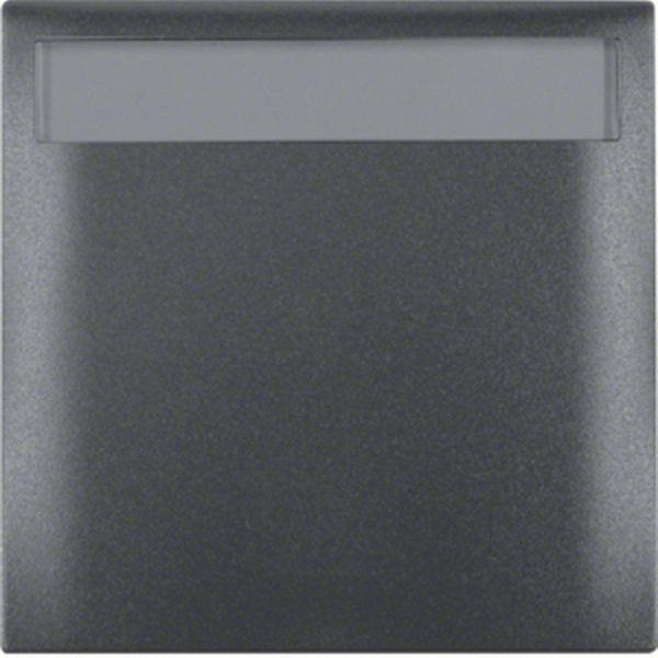 Berker Rahmen 1f m KD u BF ITG Flow anthrazit m