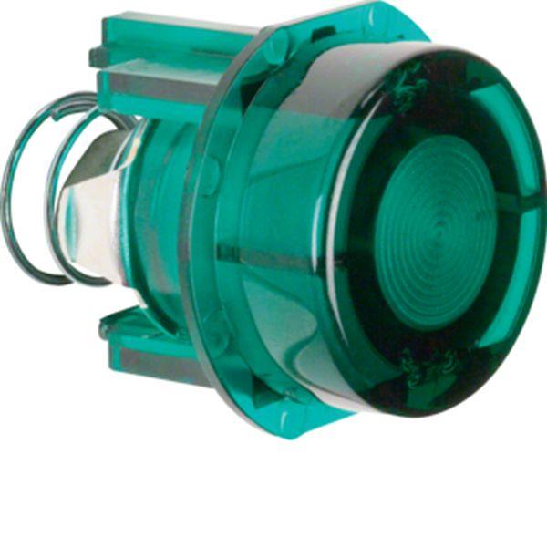 Berker Taster-Knopf für DT und LS E10 grün