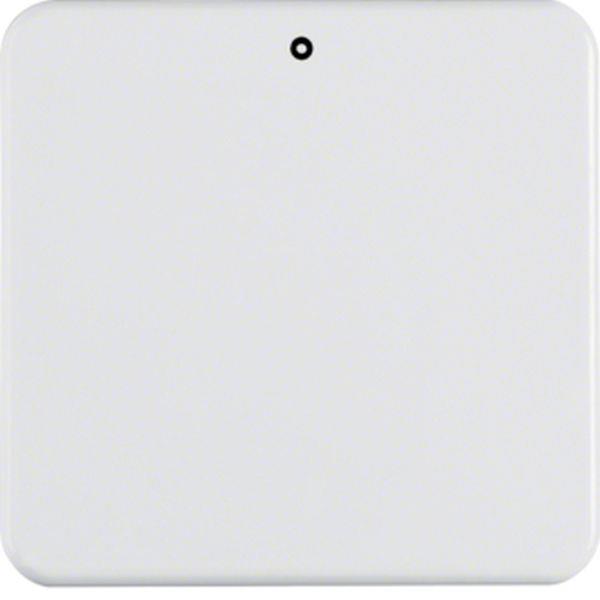 Berker Wippe AS 3P WG-UP p-weiß