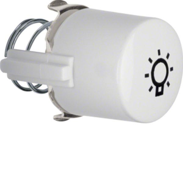 Berker Knopf Tast.Li.Glas-Ser.pw