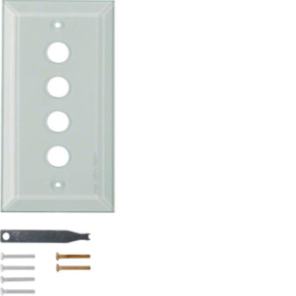 Berker Glasabdeckplatte 4fach m Facette TS klar