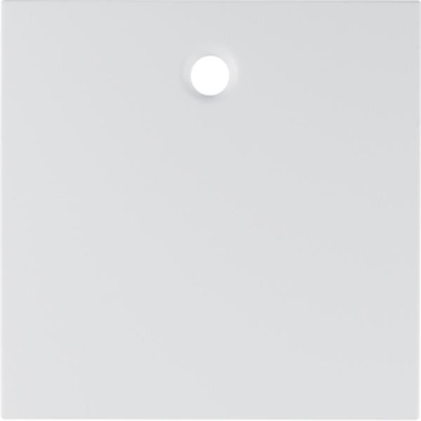 Berker Zentralstück f Zugsch/tast S.1/B.3/7 pw