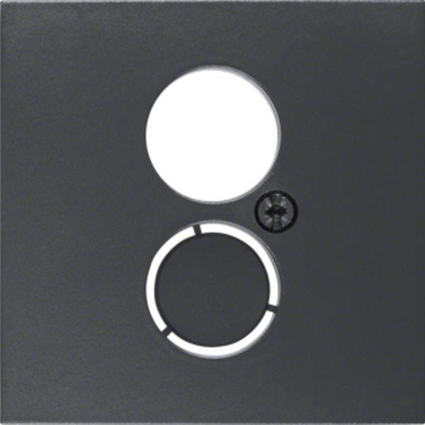 Berker Zentralstück f Lsp-Std B.3/B.7 anthrazit