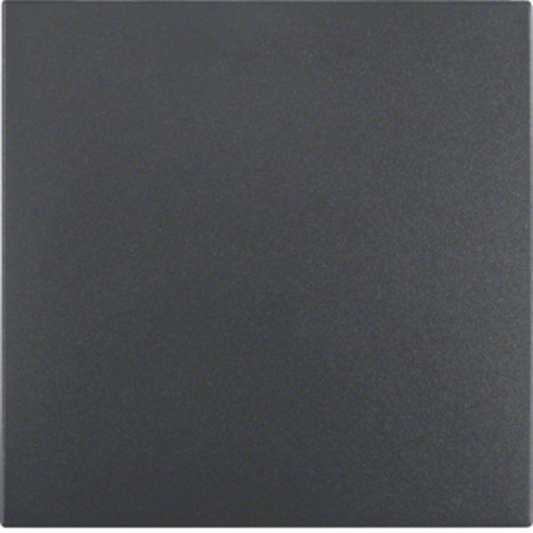 Berker Berker Wippe für Wippschalter/Wipptastschalter Serie S.1/B.3/B.7 anthrazi