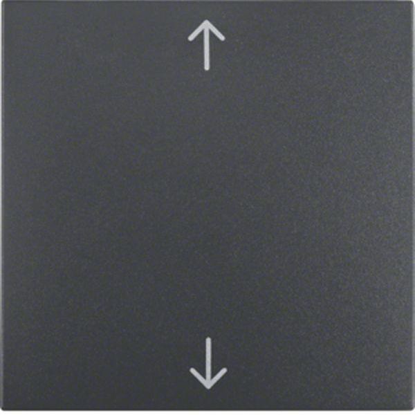 Berker Wippe m Aufdr Symb Pfeile S.1/B.x ant